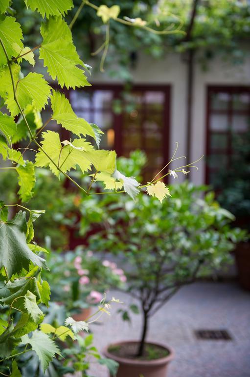 ホテル Casa Ganci トリノ エクステリア 写真